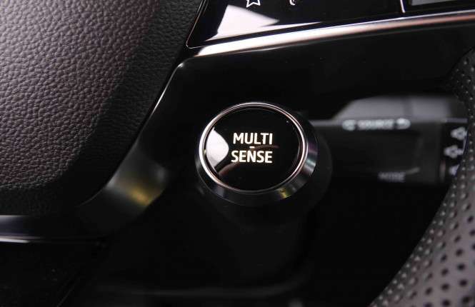 RENAULT_RENAULT_SCENIC_2548397_24.jpg