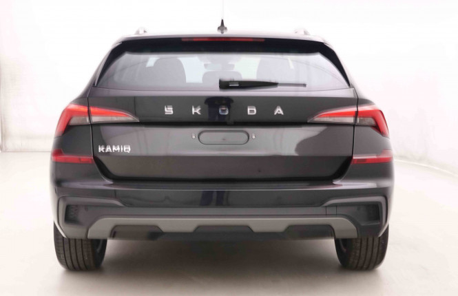 SKODA_SKODA_KAMIQ_2550746_27.jpg