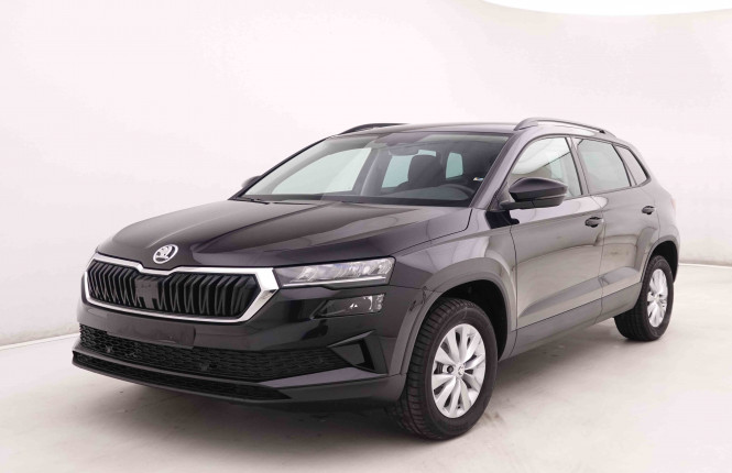 SKODA_SKODA_KAROQ_2446112_23.jpg