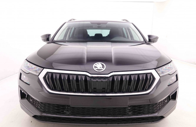 SKODA_SKODA_KAROQ_2446112_24.jpg