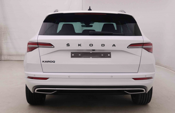 SKODA_SKODA_KAROQ_2446607_29.jpg