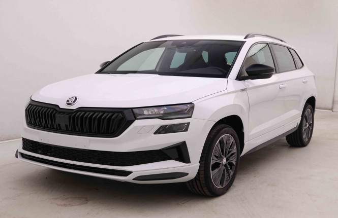 SKODA_SKODA_KAROQ_2446608_25.jpg