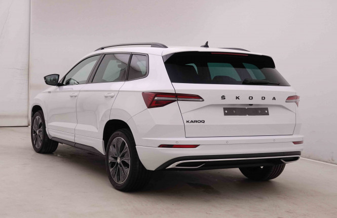 SKODA_SKODA_KAROQ_2446608_28.jpg