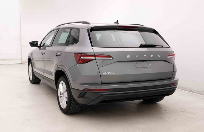 SKODA_SKODA_KAROQ_2653074_28.jpg