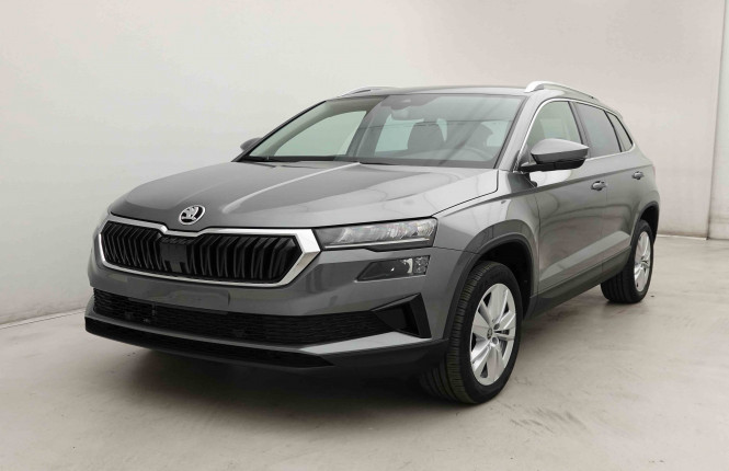 SKODA_SKODA_KAROQ_2653511_23.jpg