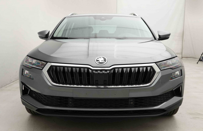 SKODA_SKODA_KAROQ_2653511_24.jpg