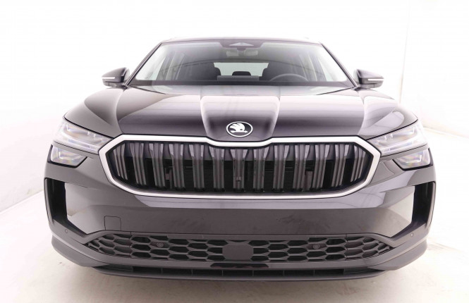 SKODA_SKODA_KODIAQ_2547844_26.jpg