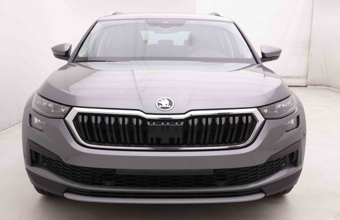 SKODA_SKODA_KODIAQ_2548703_23.jpg