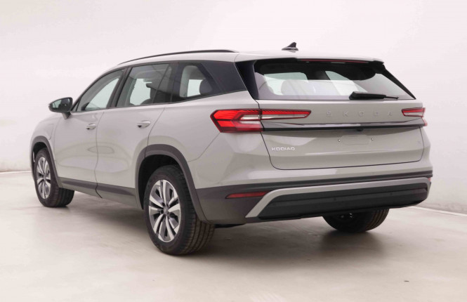SKODA_SKODA_KODIAQ_2551711_28.jpg
