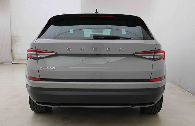 SKODA_SKODA_KODIAQ_2654925_30.jpg