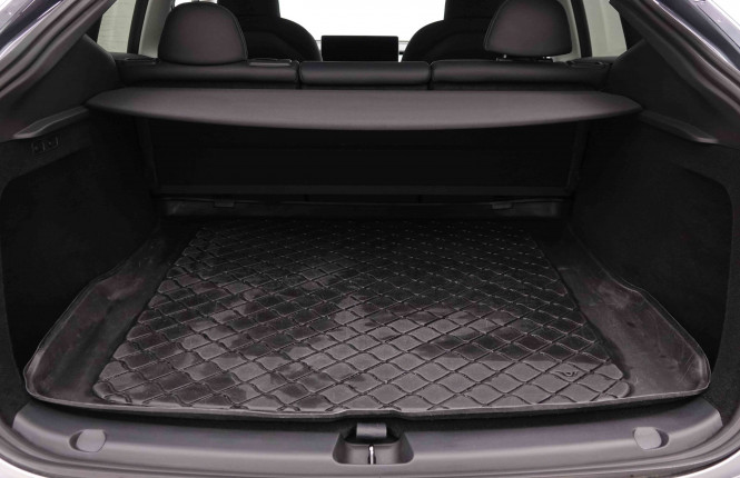 TESLA_TESLA_MODEL Y_2551375_5.jpg