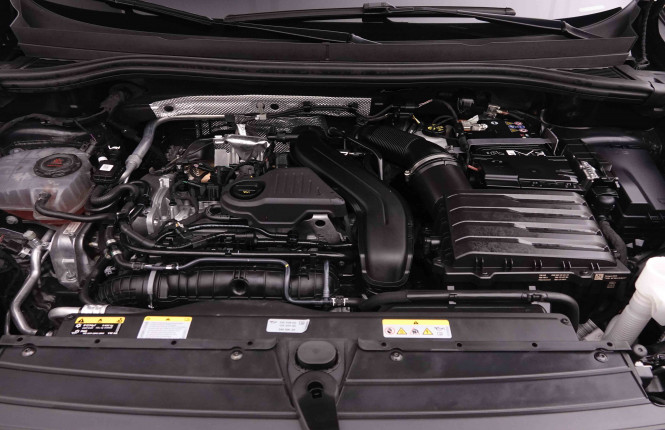 VOLKSWAGEN_VOLKSWAGEN_TIGUAN_2551097_24.jpg