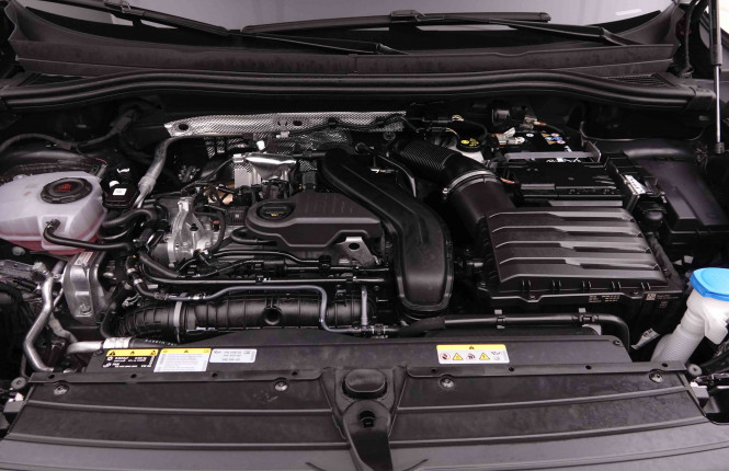 VOLKSWAGEN_VOLKSWAGEN_TIGUAN_2652424_25.jpg